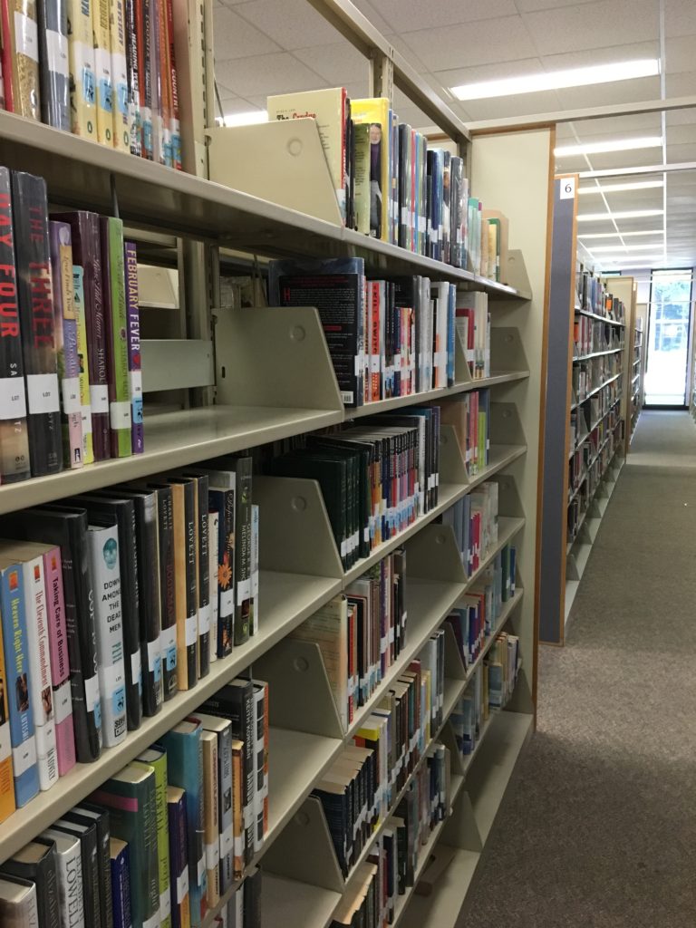 The public library has resources for nearly every issue, stage or celebration in life. Sometimes its just fun to get lost in the wonder of the titles. 